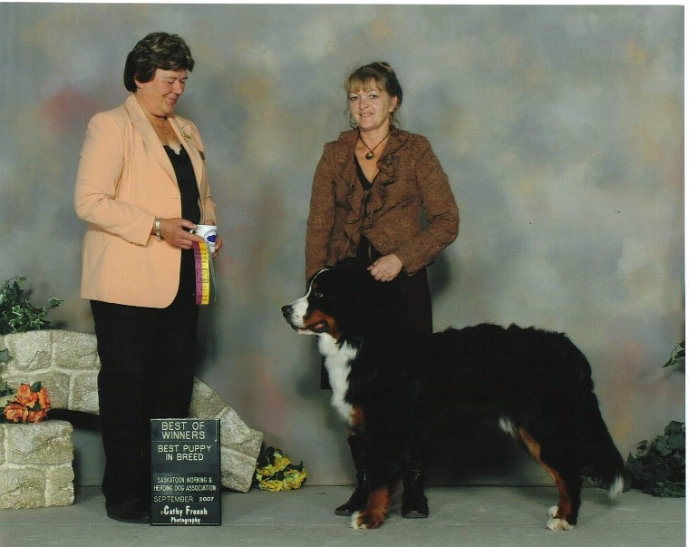 Best of Winners
